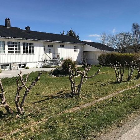 Cozy & Private Room In The Middle Of Lofoten Leknes Εξωτερικό φωτογραφία