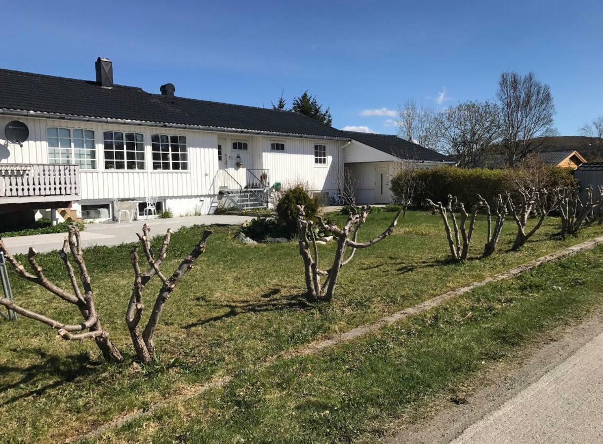 Cozy & Private Room In The Middle Of Lofoten Leknes Εξωτερικό φωτογραφία